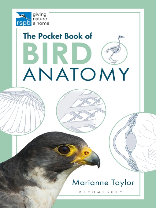 Title details for The Pocket Book of Bird Anatomy by Marianne Taylor - Available